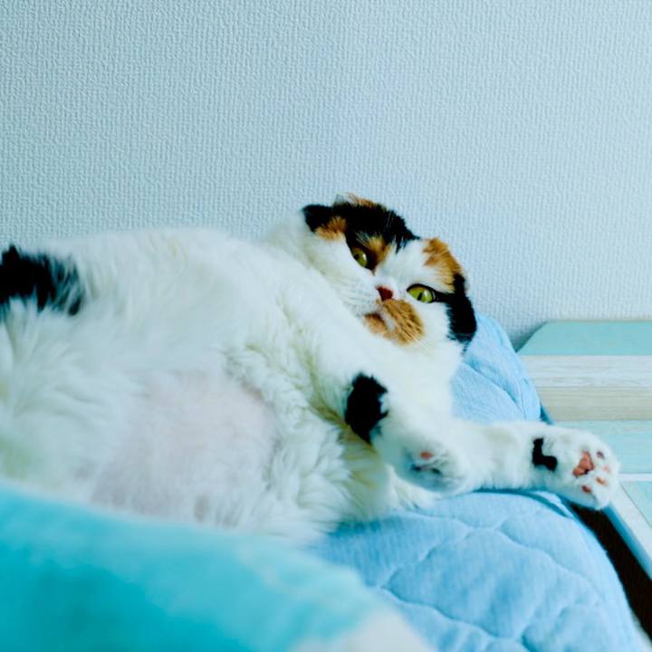 5d6dd5e6 bdf4 4834 84ae 4bcdfda0b7b6 1721527718104