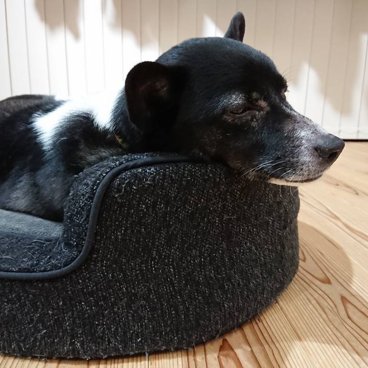 5d6de550 3fe4 42a3 b539 80ff3c6e8cab 1583670580344