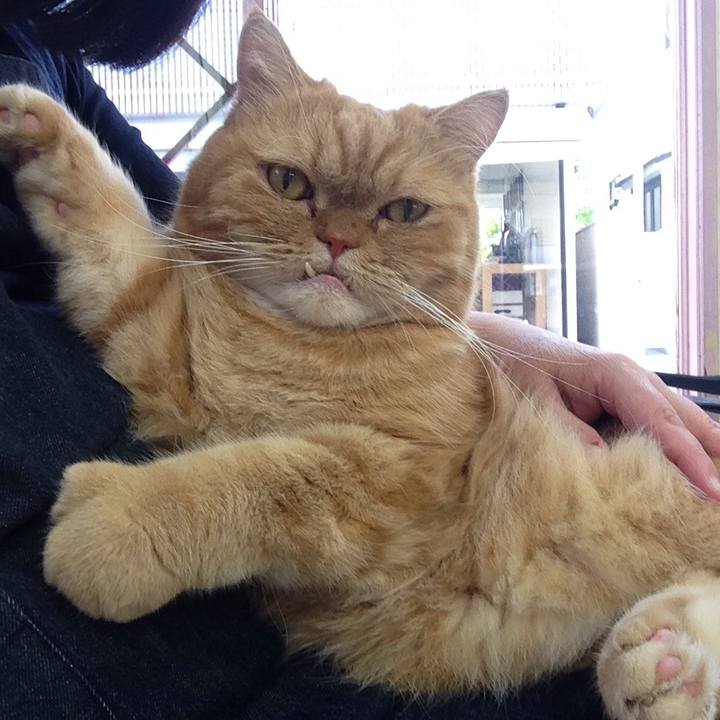 5d6e0dae f537 4e7c a72a 86433e01e79b 1510106453530