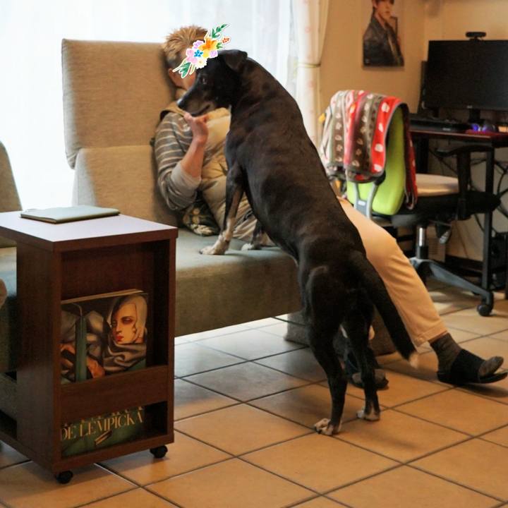 5d6e0f74 a254 4637 9045 6dc3ef38b307 1773361579384