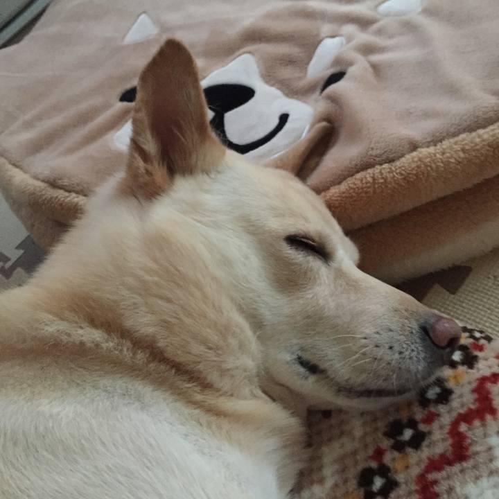 5d6e2949 efdb 4a35 a87e 95f198794b0b 1512571085449