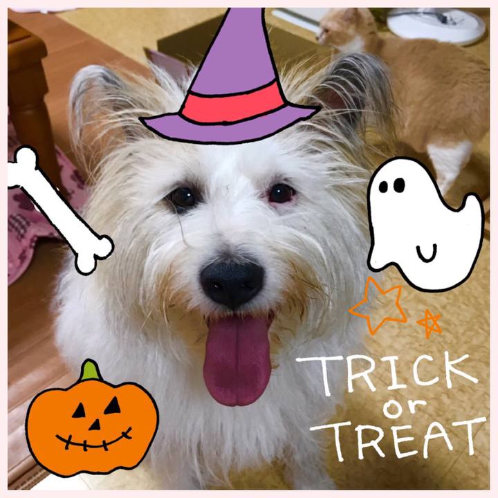 5d6e4704 2182 4855 81da 5ddd40024c50 1509449688394