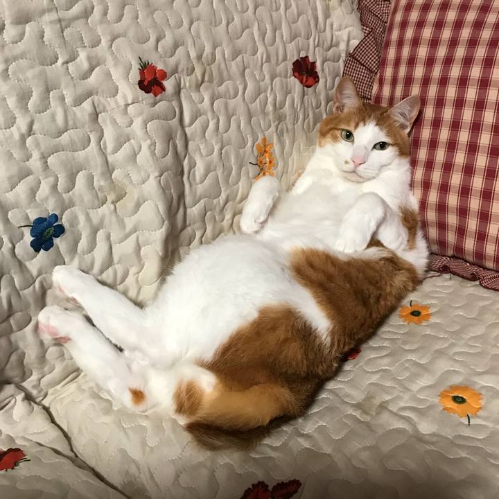 5d6e5ef9 48b2 4501 9a13 e0d37f0f17e6 1527331715174