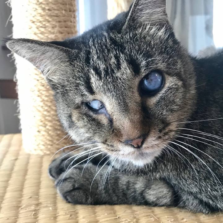 5d6e6fe2 8a72 46df a3ae e3da7d770ea1 1597910178038