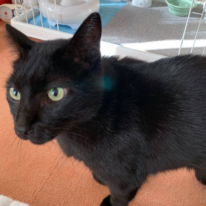 5d6ef9d1 efba 4222 b969 923a95a08710 1541209176151