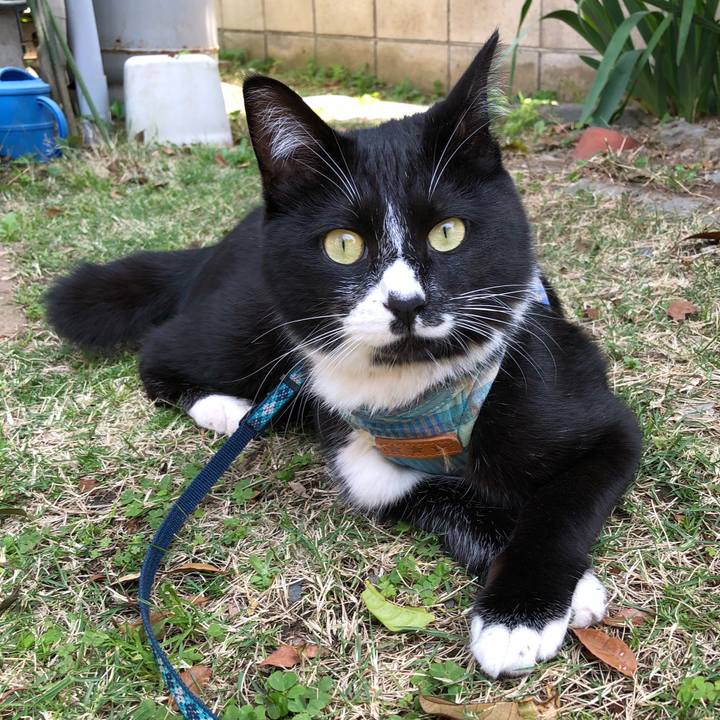 5d6f0b62 8dcc 4c09 a80b 9a1672aa9840 1525579438382