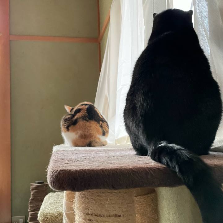 5d6f12e5 91a0 4a44 8fa6 11ff147bdd28 1644200631766