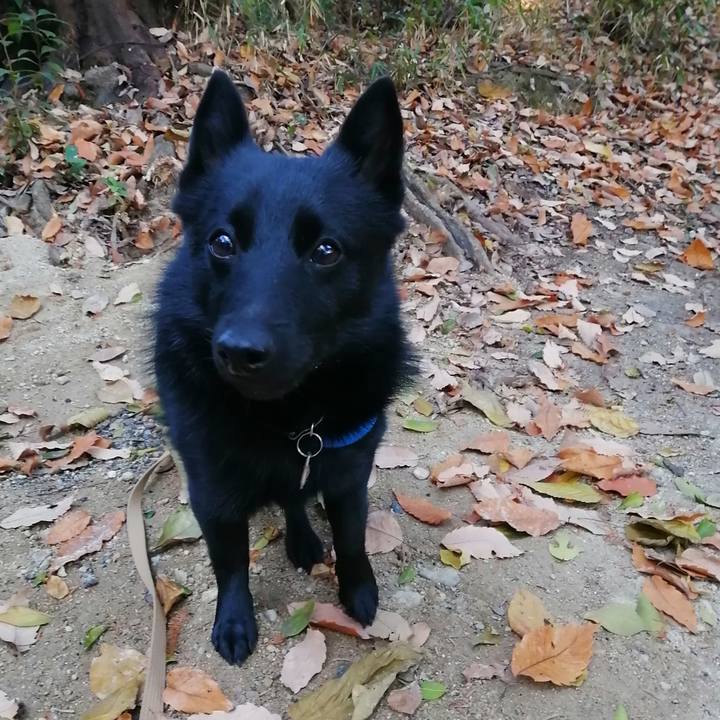 5d6f303c 6111 42c2 85f2 44df59caec20 1609026397414