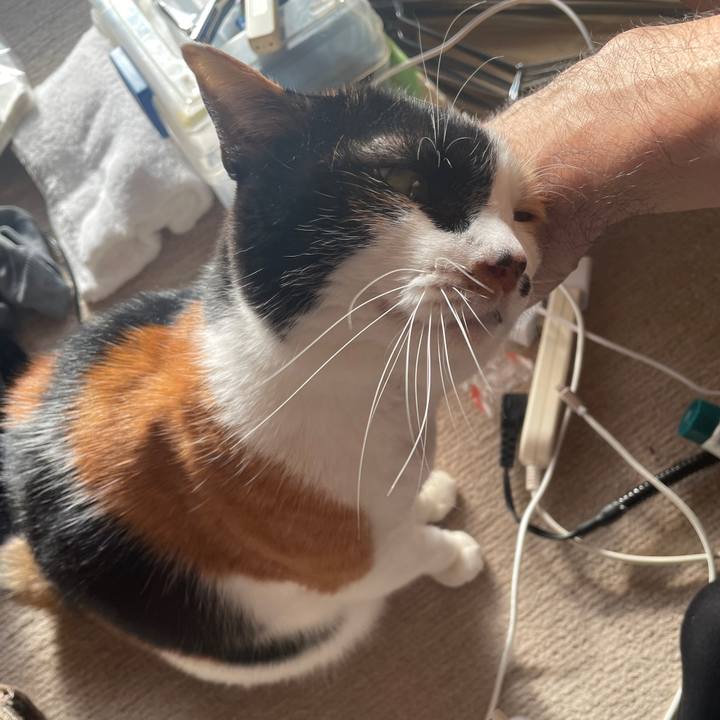 5d6f639f b726 4c1b ae76 254a9ed03cbf 1768253681706