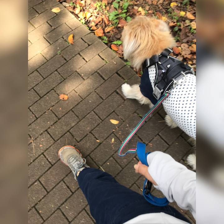 5d6f90c0 bc29 4e06 a987 c13ff162d3c1 1634799163449