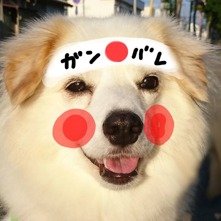 5d6f922e cc91 406b 9e04 ef6e5e626a4c 1536318401498