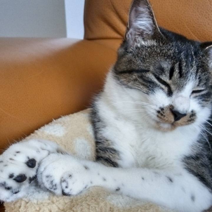 5d6fc8c0 8d68 44aa 9bd1 904592f028df 1758594938546