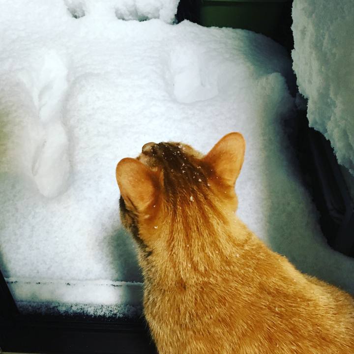 5d6fd22b 24a5 4298 914b eabc73428201 1516622047658