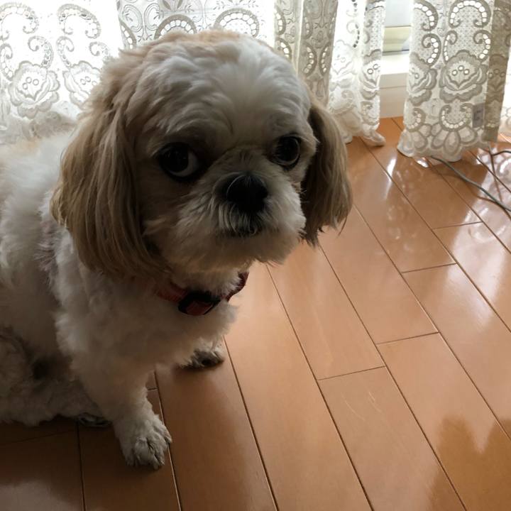 5d7039e2 0912 487f bb3a df427f30167d 1533505228404