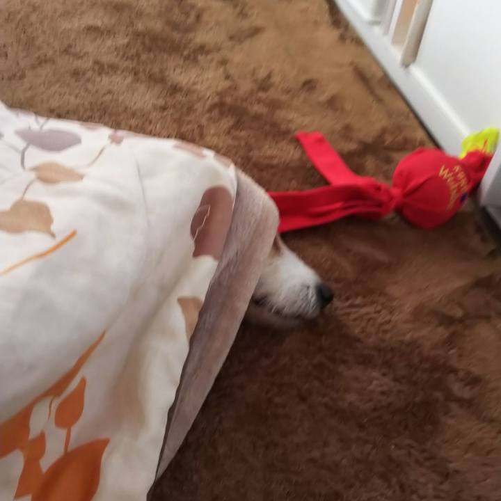 5d7041c4 1679 4bfe bd5e 025eddc13e8a 1547093973735