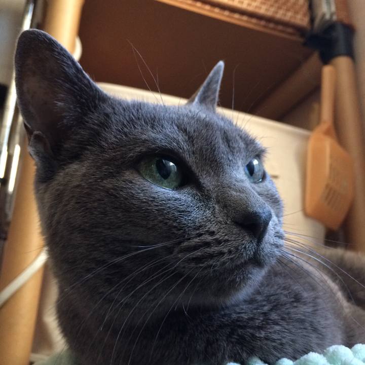 5d7068ef 9d0c 4817 b812 18056412f866 1542666685428