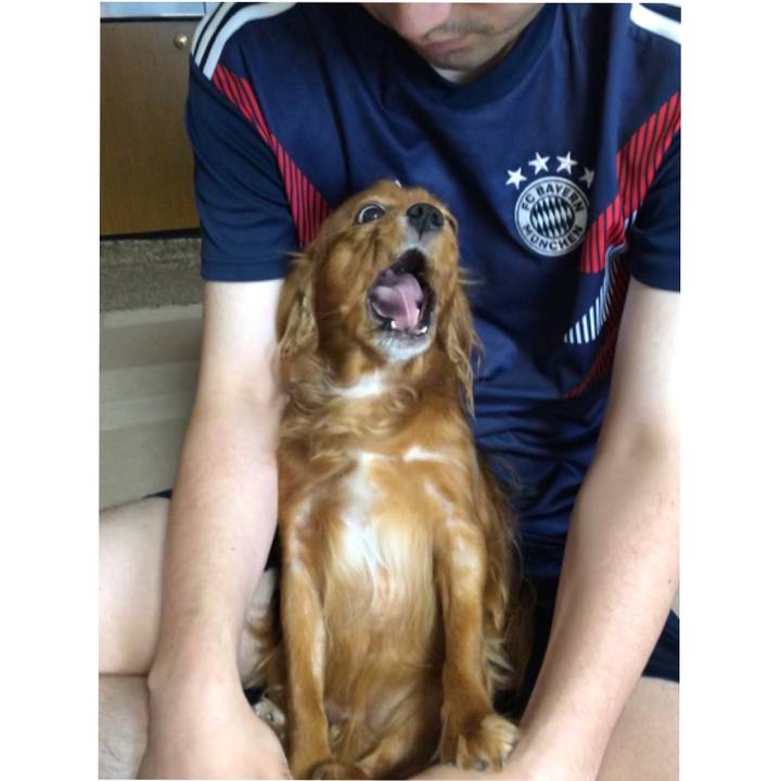 5d707733 ec1f 44fb b8cf a400e4b76d06 1563062532005