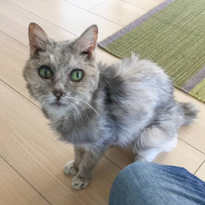 5d707e85 6946 43f8 990c ad378f2ecbc3 1584768425573