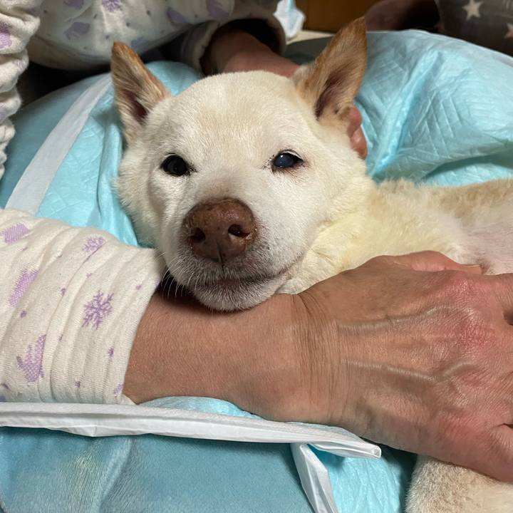 5d708897 7a08 4ba5 8adc 7b5bae986865 1673898875569