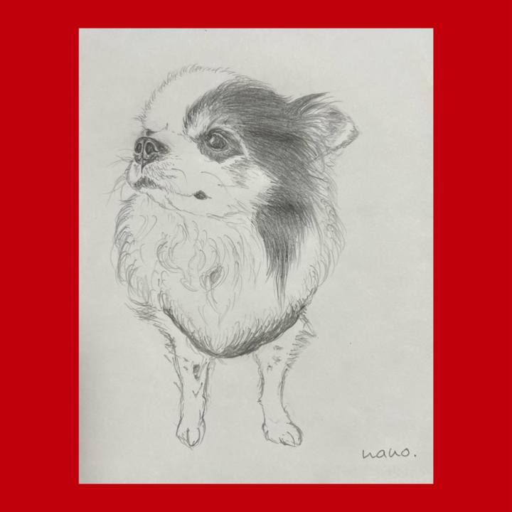 5d70c8b5 31fe 4edb 844d 9dba569f4030 1667426637586