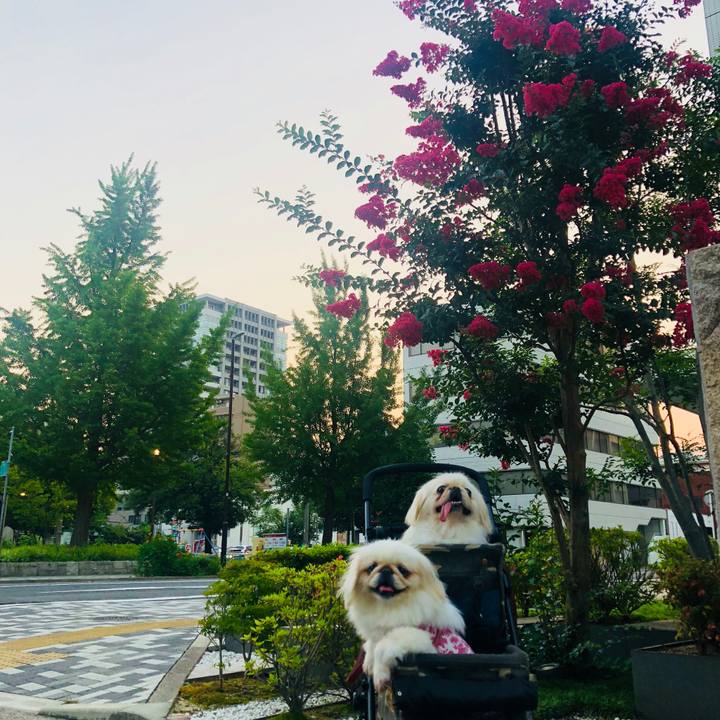 5d70e330 80b8 4603 b64e ecf514ece8e7 1564524592630