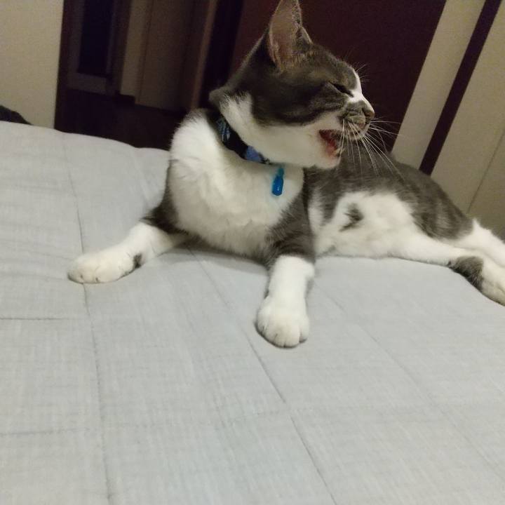 5d70f0c3 5daf 4672 baf9 c32cd1f0eaeb 1600863757923