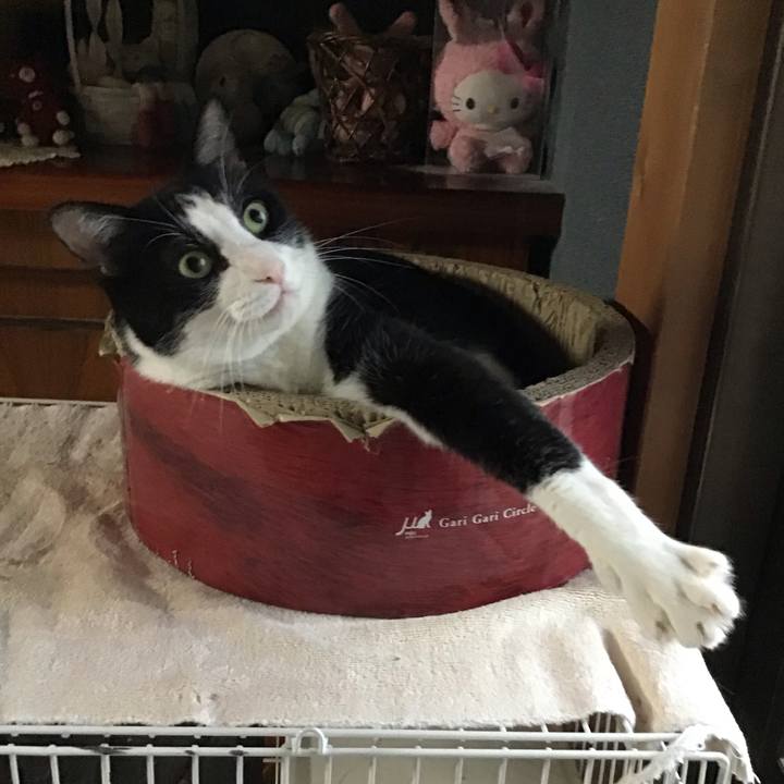 5d713cde 857f 4514 bc6b 4fc0706c1864 1757043991297