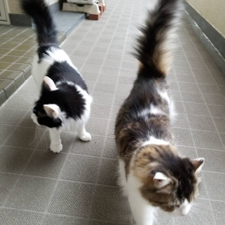 5d71537b 8cfc 4a79 8cbe 378b137dea38 1538714328432