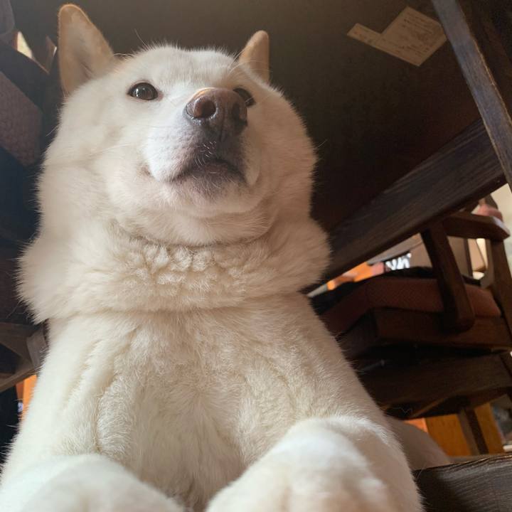 5d71739a d60b 409c 96ba 557610d77fcc 1577321550594