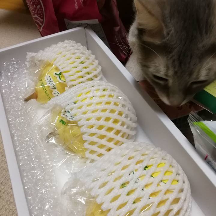 5d7180a5 c7ec 4bf7 a6fb 43dd0957889d 1545139571506