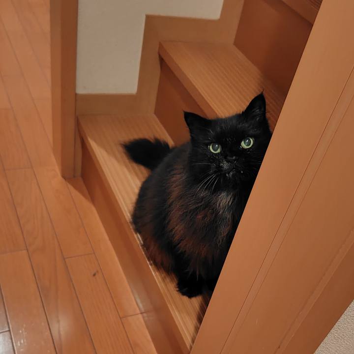 5d71e61e cf6f 42cb b535 b6d494556b5d 1728040971285