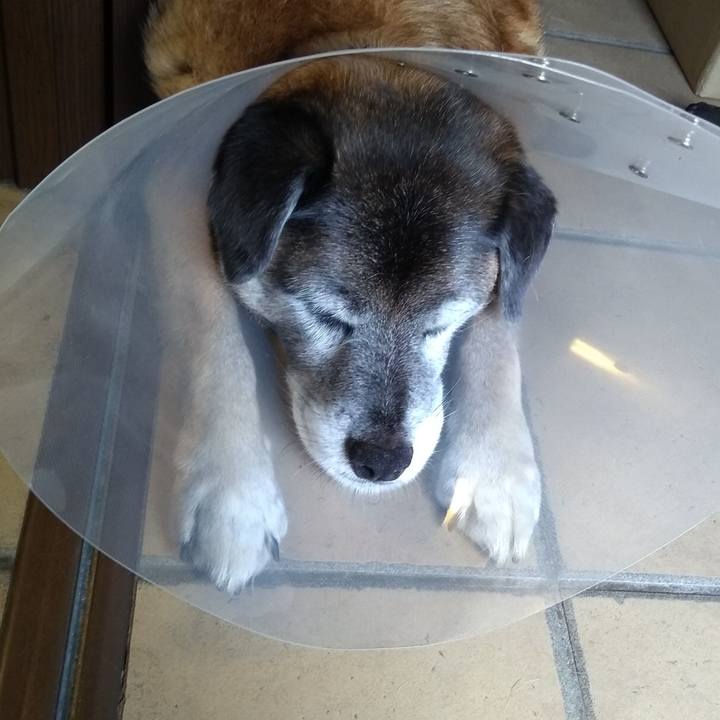 5d72151d 946b 4d10 907d 7b0450f1478a 1562677063017