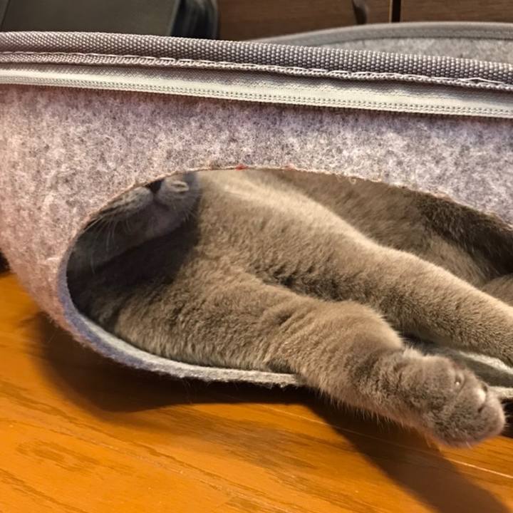 5d7259c9 9dda 4374 86a3 5d0063679517 1593333075661