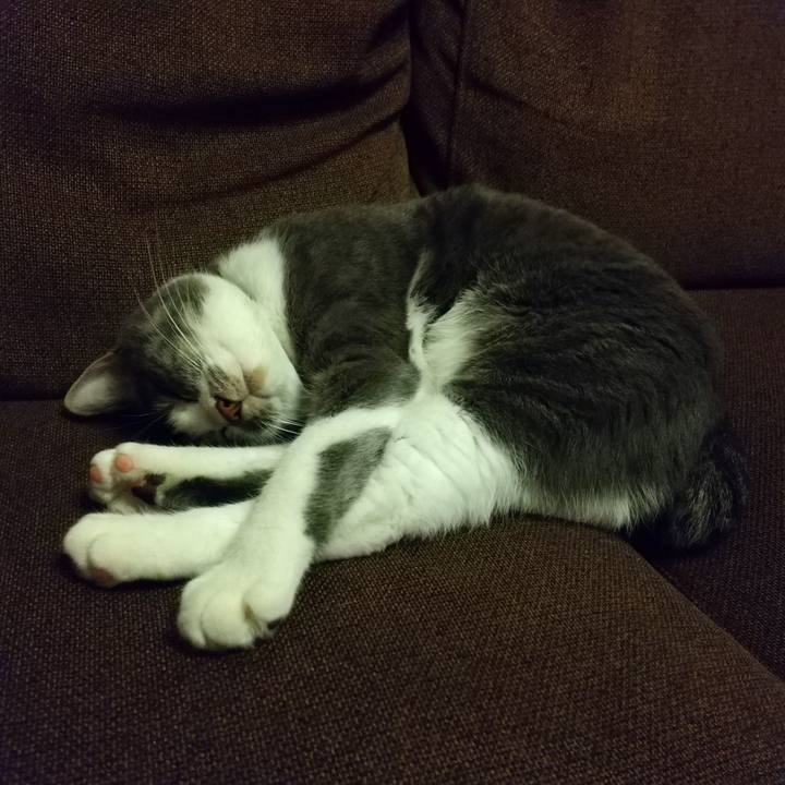 5d7261e4 aae0 4608 b68f 62906847b3f0 1607954875417