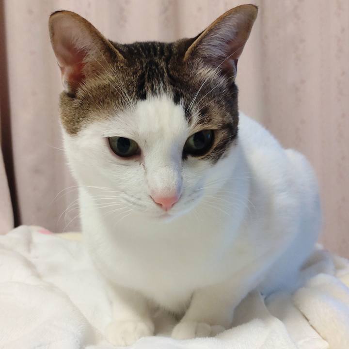 5d7268b6 3ad3 478e b989 5179ed330dfb 1704532467676