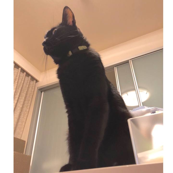 5d72721c a690 4847 8057 79cfccb3167c 1531053483494