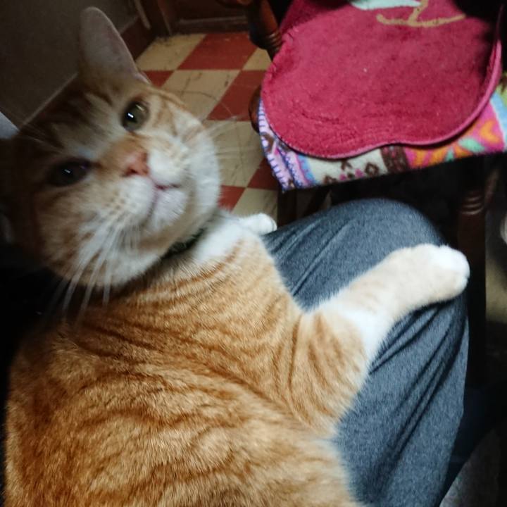 5d7288b8 9d8d 4fae 85f7 631bd18c7ef2 1582105226427