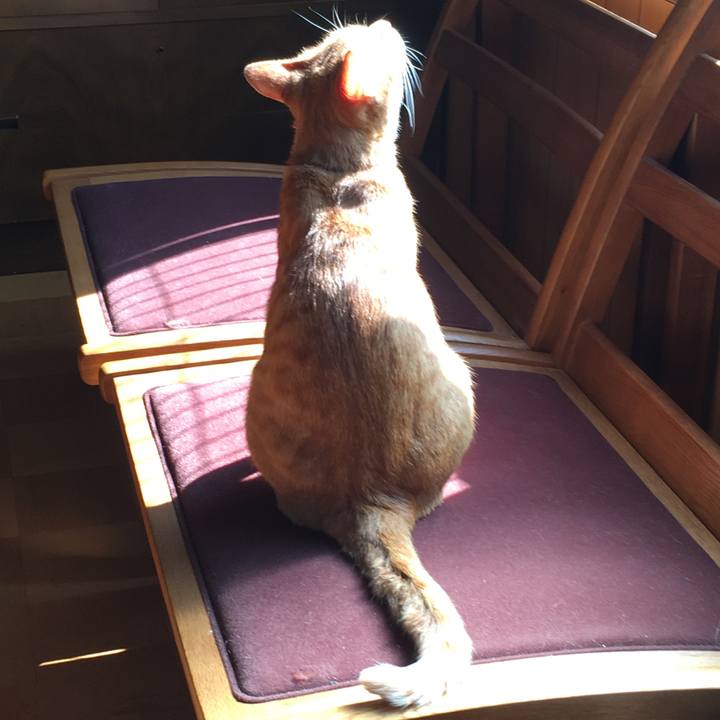 5d729223 fdbd 4b01 b742 1b6f71bd7e3d 1533103778774