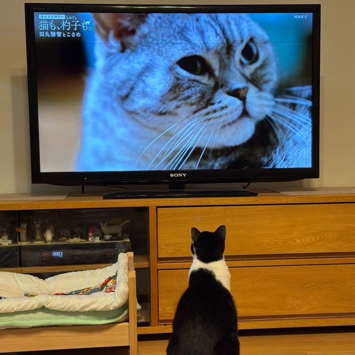 5d72ebbf 54e6 49fc 94e3 61d824b323bf 1759738744831