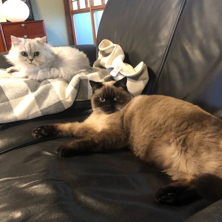 5d7345f1 30ca 4d54 a43c e108f56ce34b 1609055666390