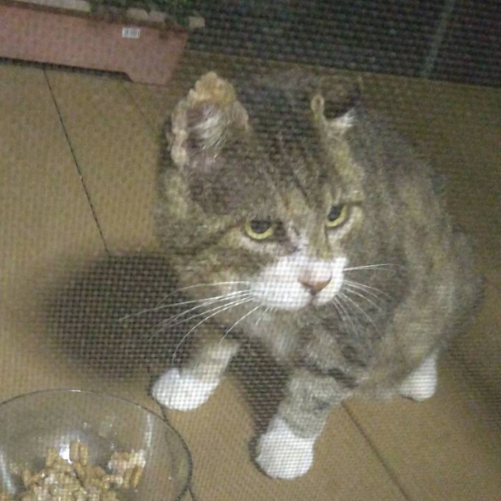 5d7359df 53ab 4cd3 9b85 ef4fc35e3dab 1759567049893