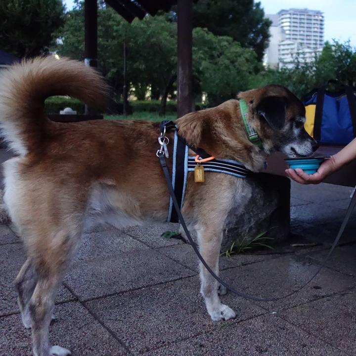 5d739afd 5df1 415d b923 27549c874908 1534422476940