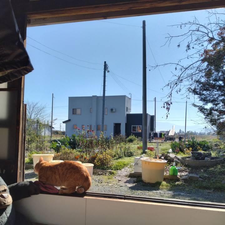 5d73a12e 6b76 4de0 a53a 657e80b6d1d5 1699517261550