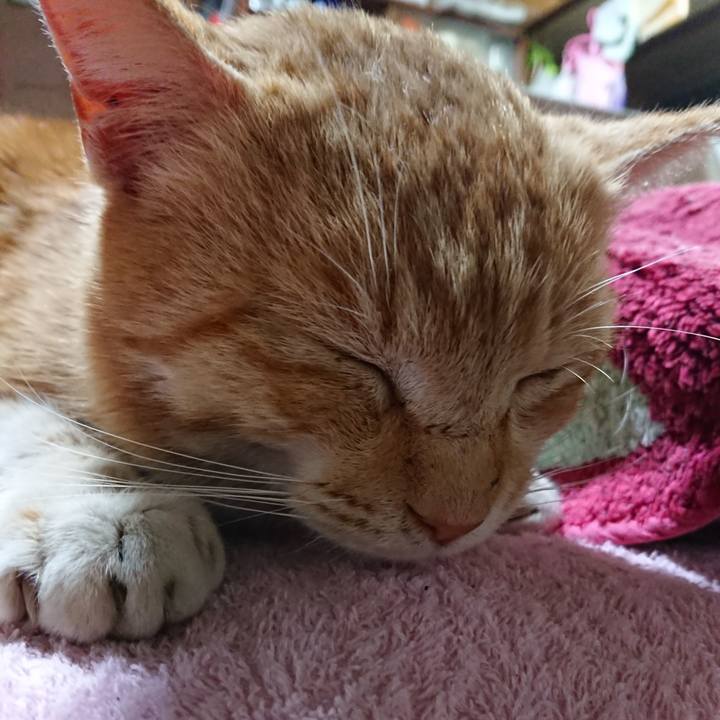 5d73e700 cc75 4b34 bbfe 579c46e52753 1554114906345