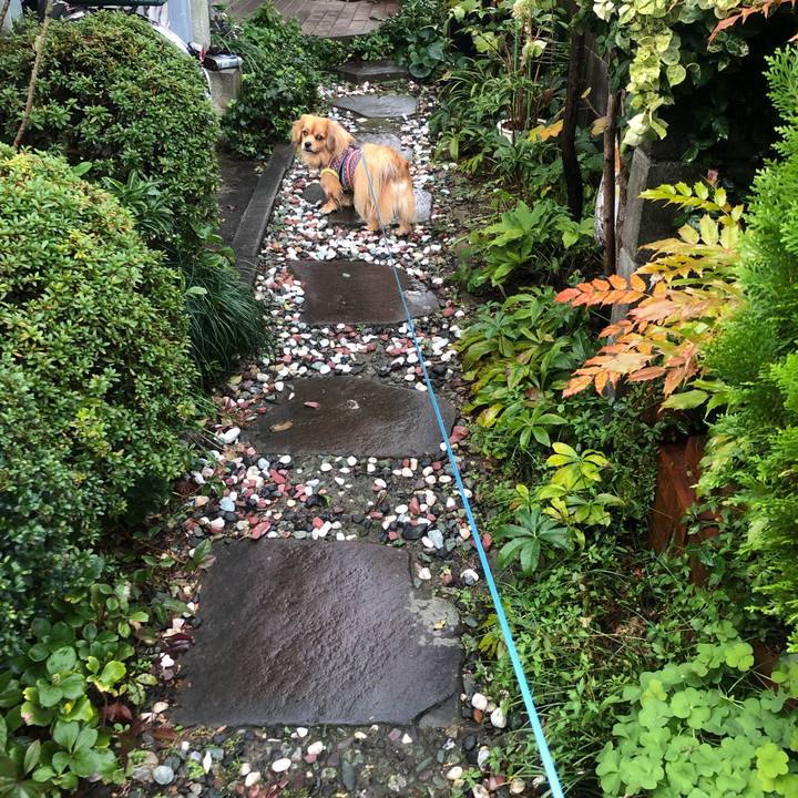 5d73ef12 fb81 4fc3 a371 c286b34befc8 1545002045491