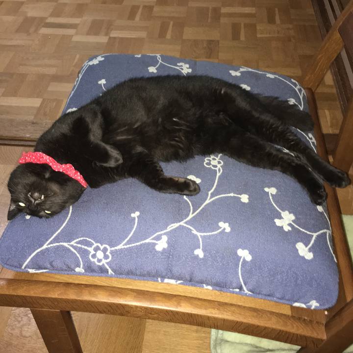 5d740069 bb35 4b5c ab44 3bd2a85c21a3 1536068717724