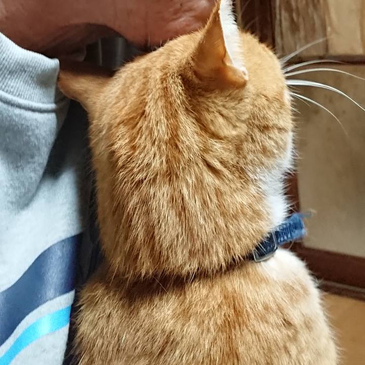 5d741991 a551 46d0 98f2 c6482567ba25 1604174722235