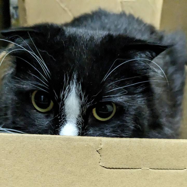 5d7436e5 718e 4a5b 98f7 1fdac26f58d9 1715777397084