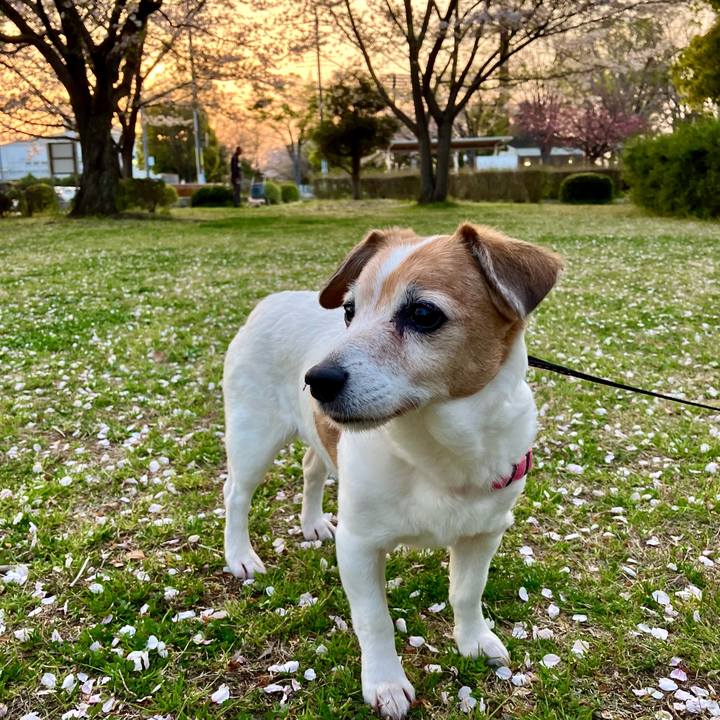 5d747eed 4f33 49d6 b375 4ee8981e5b14 1713090177354