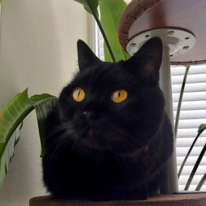 5d7484a4 f3de 4403 8b80 651ae29b34c2 1564784552913